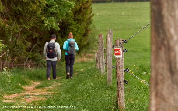 Pfad bei Küstelberg auf dem Rothaarsteig