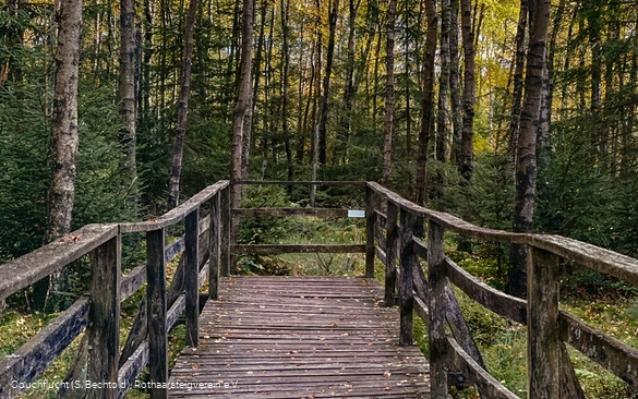 Steg an der Ederquelle auf dem Rothaarsteig