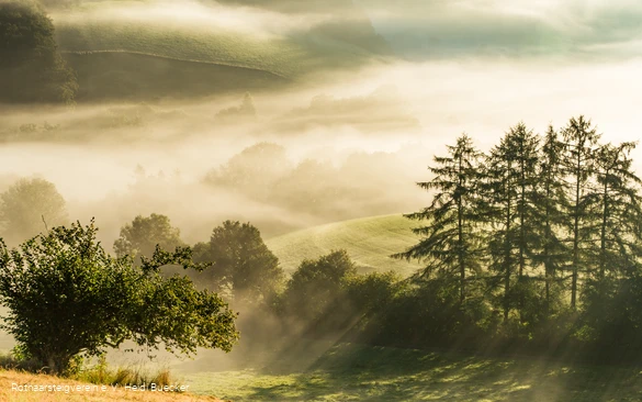 morgendunst-im-sauerland-1133.jpg
