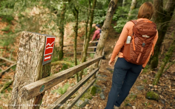 Pfad bei Wagenschmier auf dem Rothaarsteig