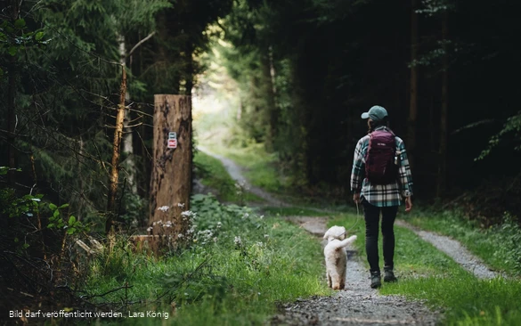 Wanderin mit Hund auf einem Waldweg auf dem Rothaarsteig