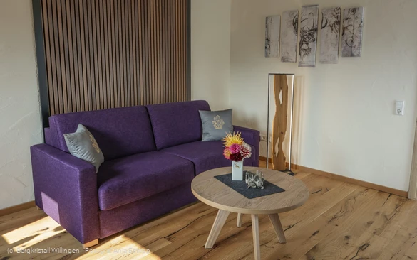 Bergluft - Bergkristall Willingen, Wohnzimmer Ferienwohnung am Rothaarsteig