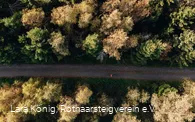 Rothaarsteig nahe der Tiefenrother Höhe