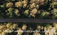 Rothaarsteig nahe der Tiefenrother Höhe
