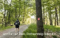 Wanderin auf dem Rothaarsteig bei Rodenbach