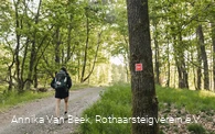 Wanderin auf dem Rothaarsteig bei Rodenbach