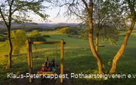 Waldschaukel auf dem Kornberg