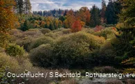 Bunte Herbstbäume im Edertal am Rothaarsteig