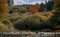 Bunte Herbstbäume im Edertal am Rothaarsteig