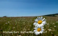 Gernsdorfer Höhentour