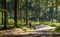 Wandern auf dem Kahlen Asten Steig