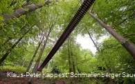 Hängebrücke am Rothaarsteig