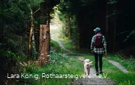 Wanderin im Wald auf dem Rothaarsteig