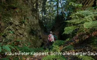 Unterwegs auf dem Kahlen Asten Steig