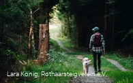 Wanderin mit Hund auf einem Waldweg auf dem Rothaarsteig