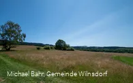 Wald-Weiden-Wiesen-Wanderung