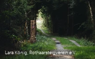 Durch den grünen Wald verlaufenden Rothaarsteig
