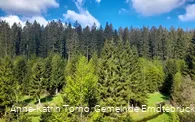 Kurz nach dem Start - der malerische Blick auf den mäandrierenden Zinsebach