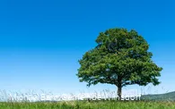 Aussicht Gernsdorfer Höhentour
