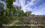 Hermeskopf