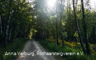 Rothaarsteig bei Rodenbach