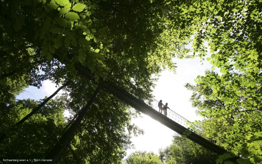 Hängebrücke bei Kühhude am Rothaarsteig