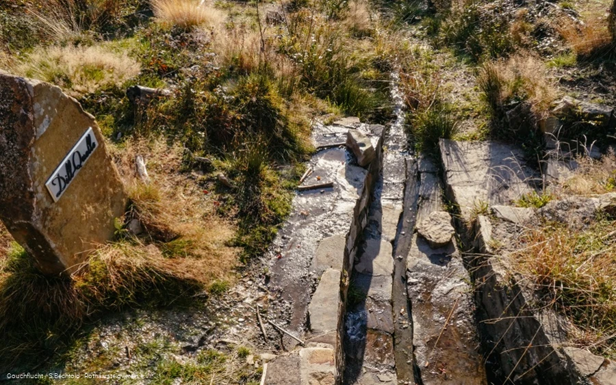 Die Dillquelle am Rothaarsteig