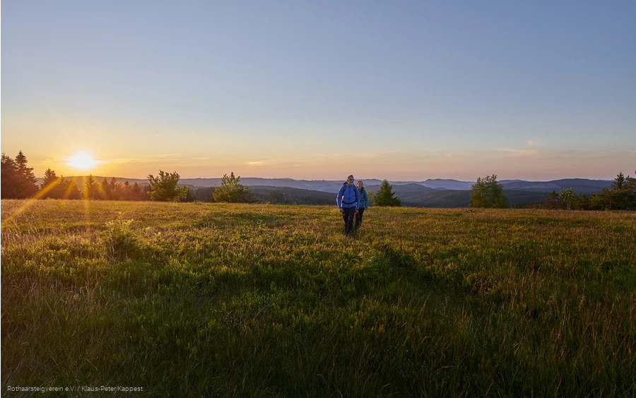 Wandernde im Sonnenuntergang auf dem Kahler Asten