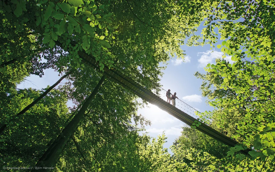Hängebrücke.jpg Hängebrücke am Rothaarsteig bei Kühhude