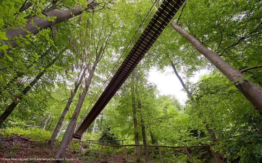 Hängebrücke am Rothaarsteig