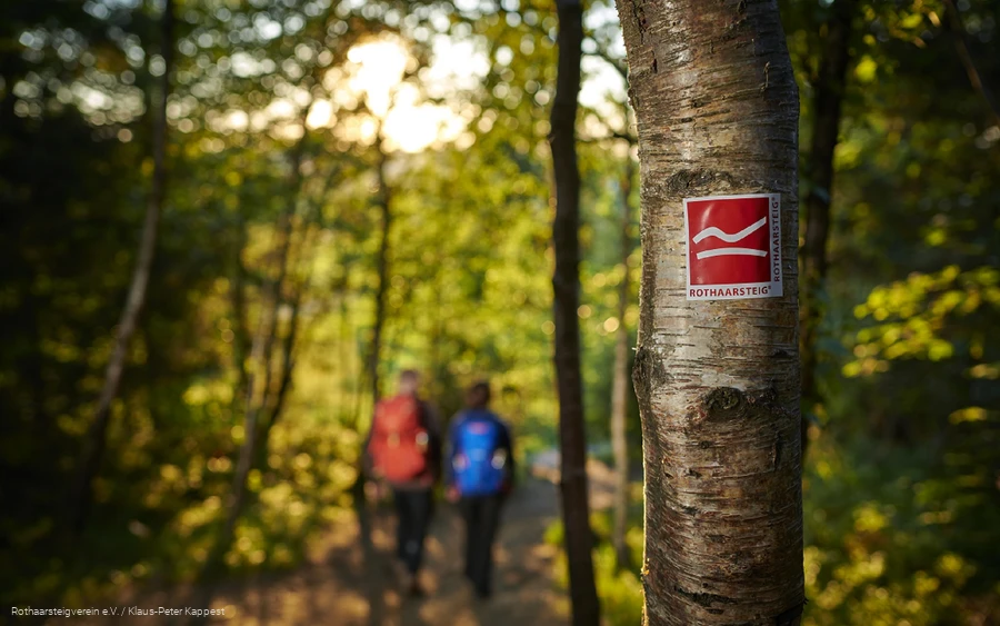 Rothaarsteig-Wegezeichen am Baum mit zwei Wandernden im Hintergrund