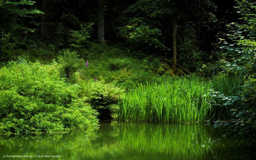 Grönebacher Dorfpfad