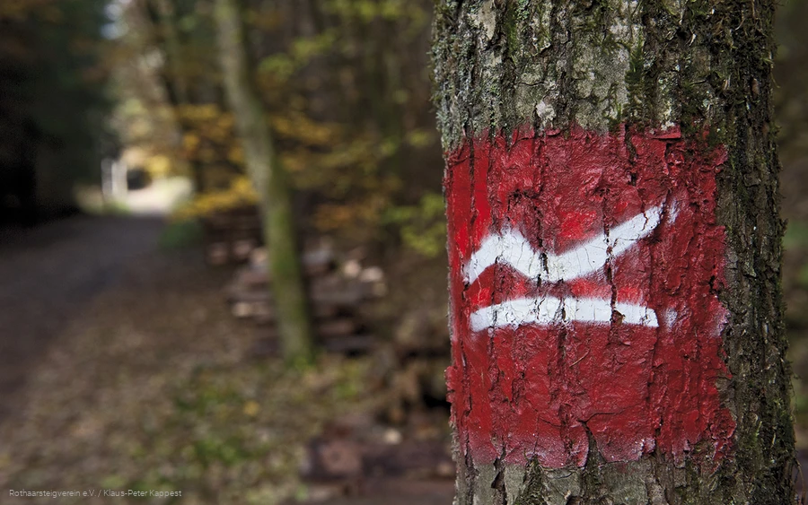 Wegezeichen des Rothaarsteig