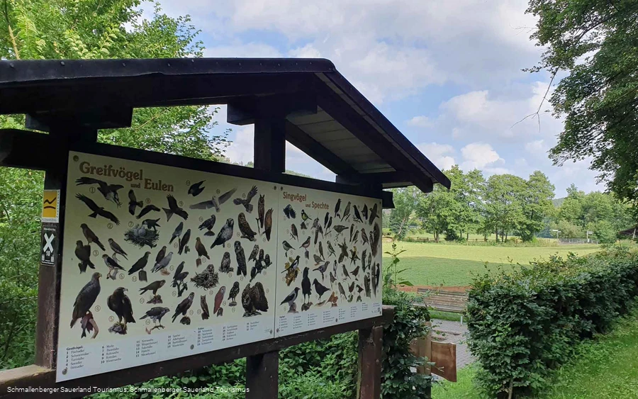 Infotafel Greifvögel und Singvögel in Fleckenberg