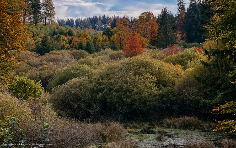 Bunte Herbstbäume im Edertal am Rothaarsteig