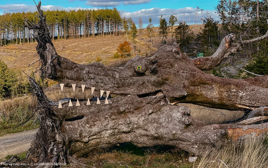 Naturkunst auf der Haincher Höhe