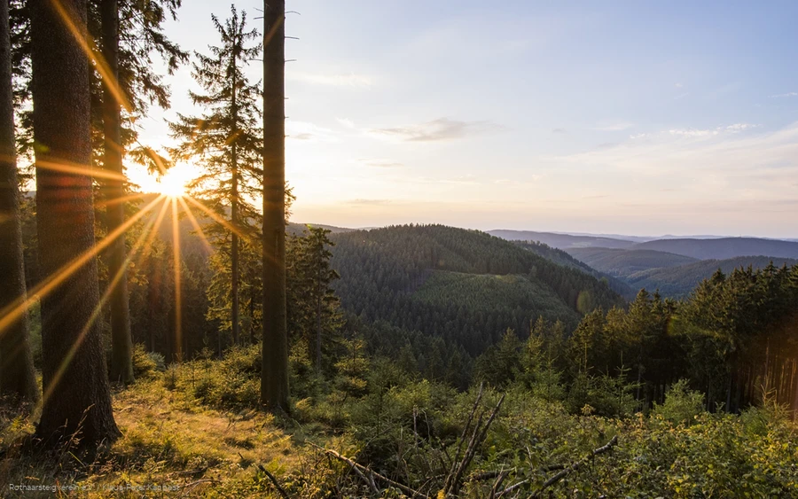 Aussicht vom Grenzweg bei Jagdhaus am Rothaarsteig