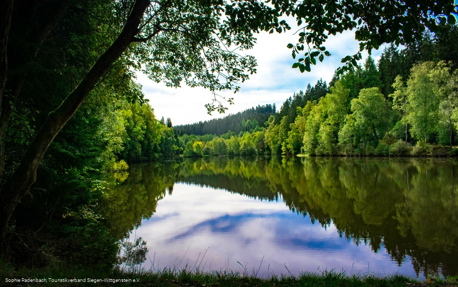 Der Rösper Weiher liegt nahe des Weges und bietet Ruhe und Platz zum Rasten.