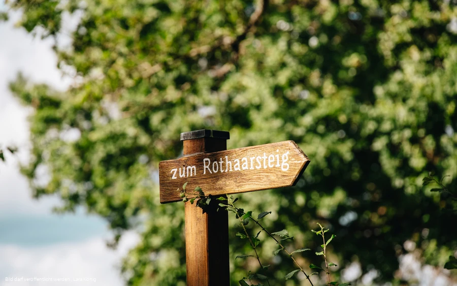 Holzschild mit der Aufschrift "Zum Rothaarsteig"