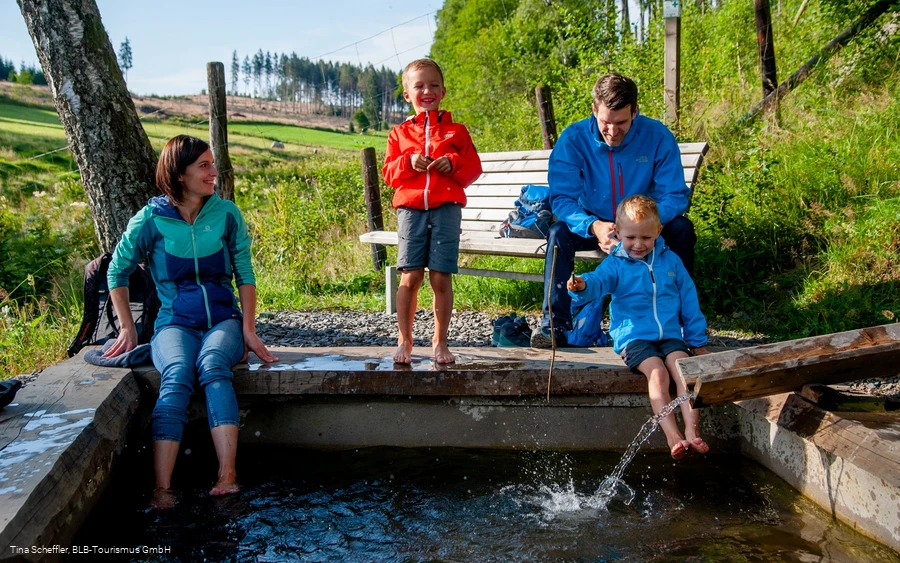 Wisent-Pfad - Tretbecken