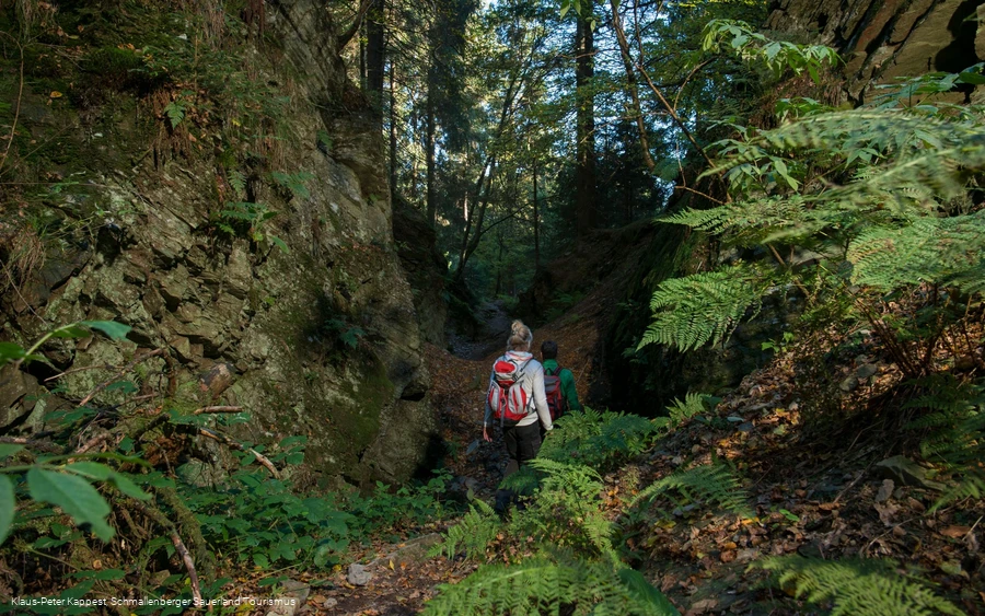 Unterwegs auf dem Kahlen Asten Steig