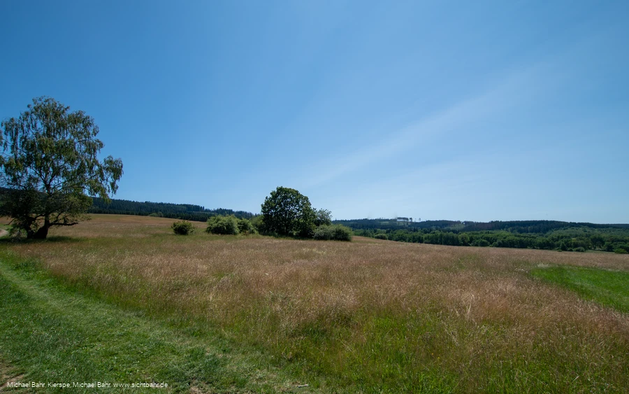 Gernsdorfer Weidekaempfe