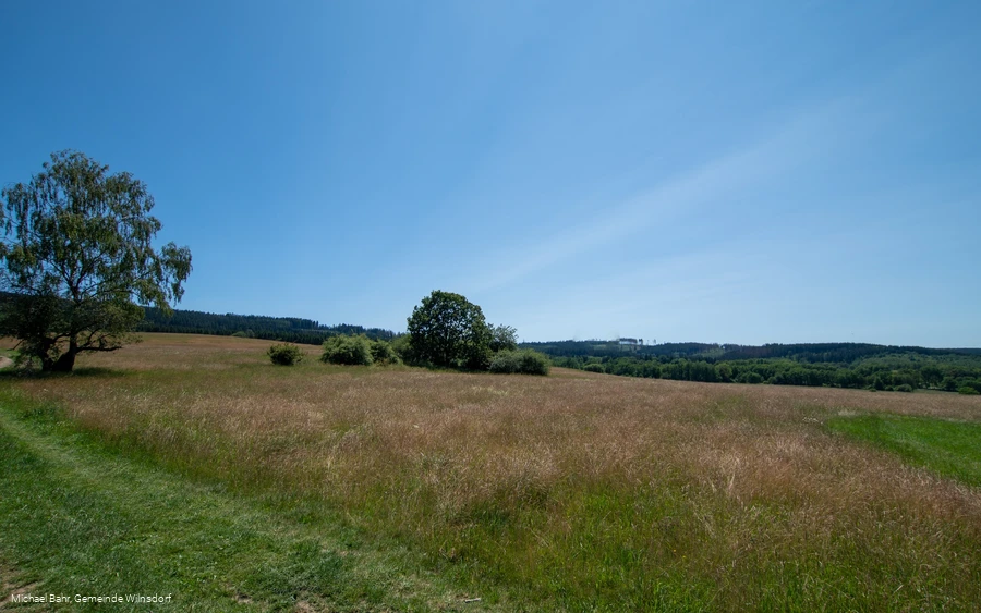 Wald-Weiden-Wiesen-Wanderung