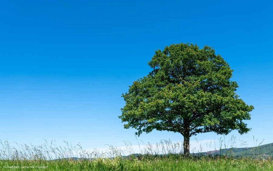 Aussicht Gernsdorfer Höhentour