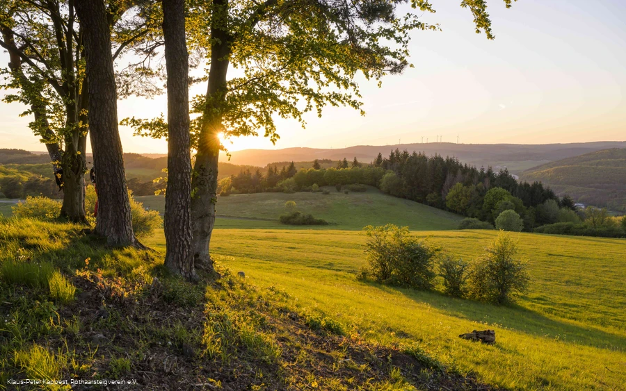 Aussicht vom Kornberg