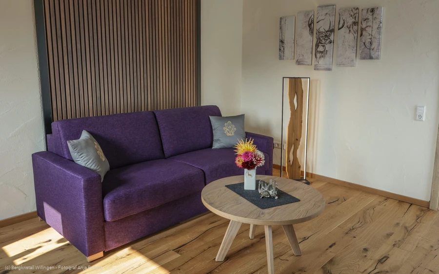 Bergluft - Bergkristall Willingen, Wohnzimmer Ferienwohnung am Rothaarsteig