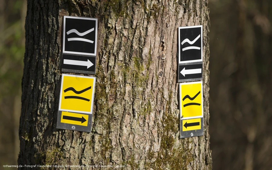 Wegmarkierung am Rothaarsteig