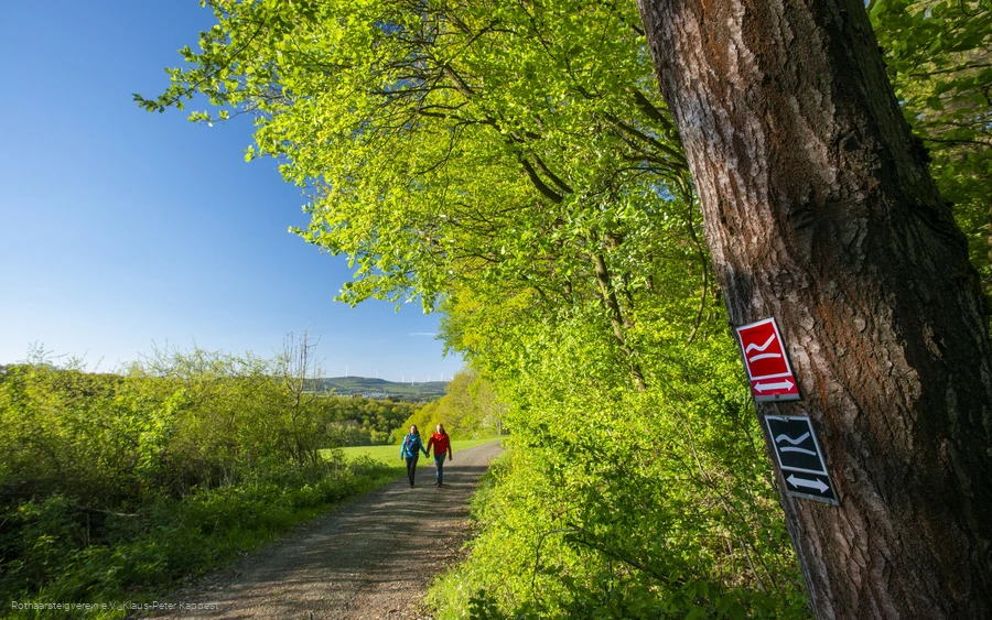 Wandernde auf einer Rothaarsteig-Spur