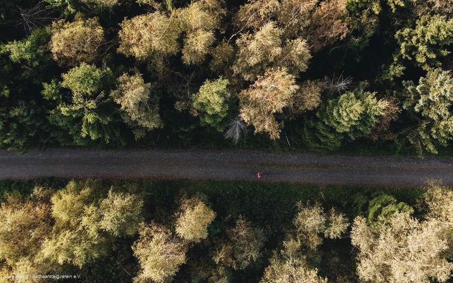 Rothaarsteig nahe der Tiefenrother Höhe