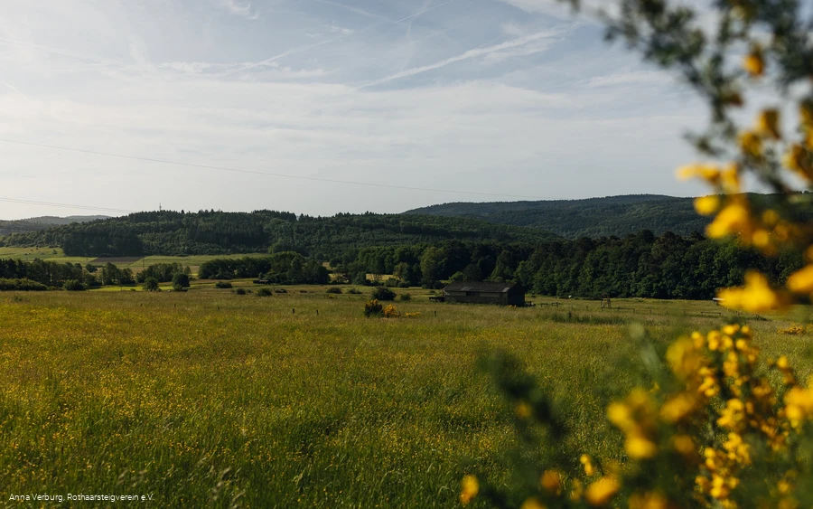 Aussicht vom Rothaarsteig bei Manderbach